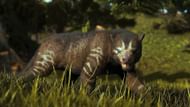 Thylacoleos roam the Redwoods in Ark Survival Ascended (Studio Wildcard)